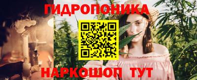 стафф Бугуруслан