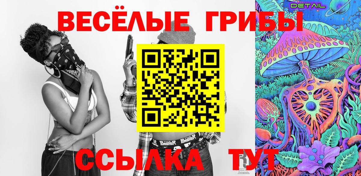 Псилоцибиновые грибы GOLDEN TEACHER Хасавюрт