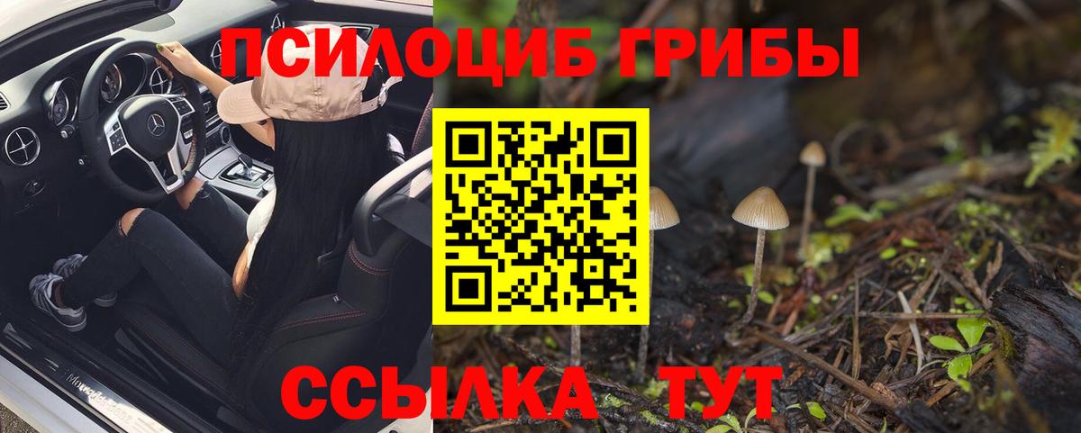 Псилоцибиновые грибы Psilocybe  Вход с VPN  где продают   Хасавюрт 